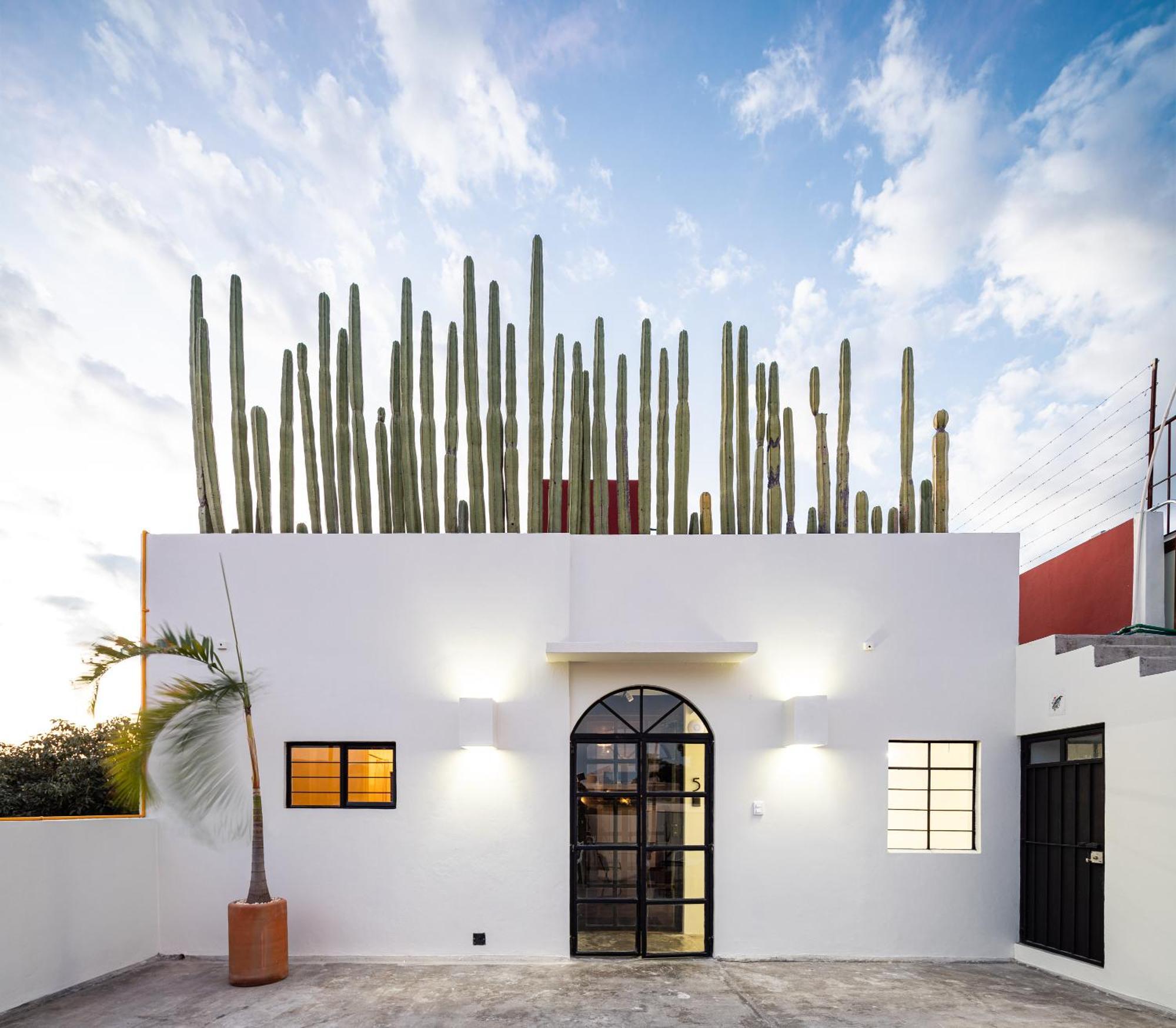 Casa Lumos - Minimalist Comfort Suites In Centro Historico Oaxaca Екстер'єр фото