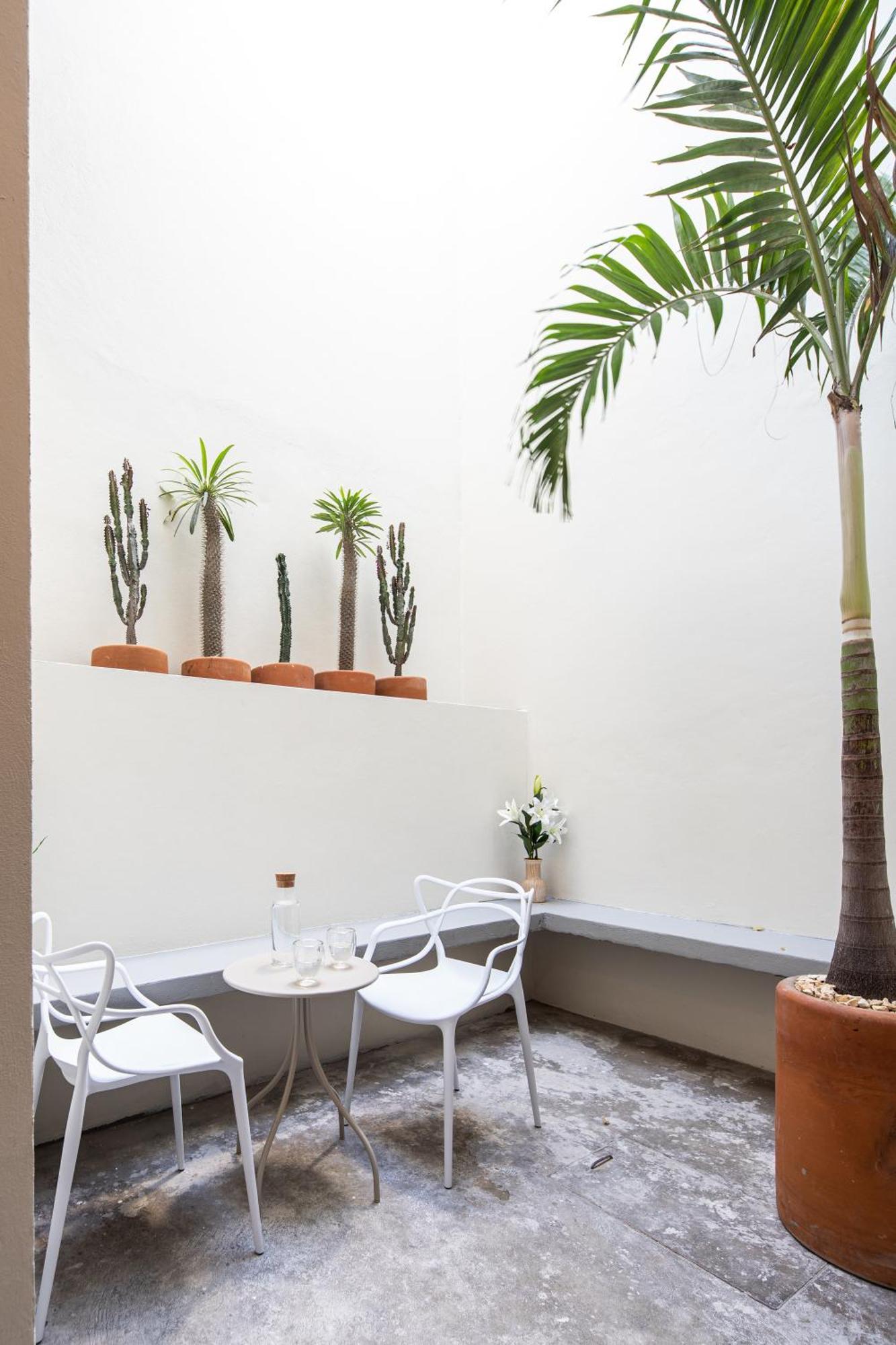 Casa Lumos - Minimalist Comfort Suites In Centro Historico Oaxaca Екстер'єр фото